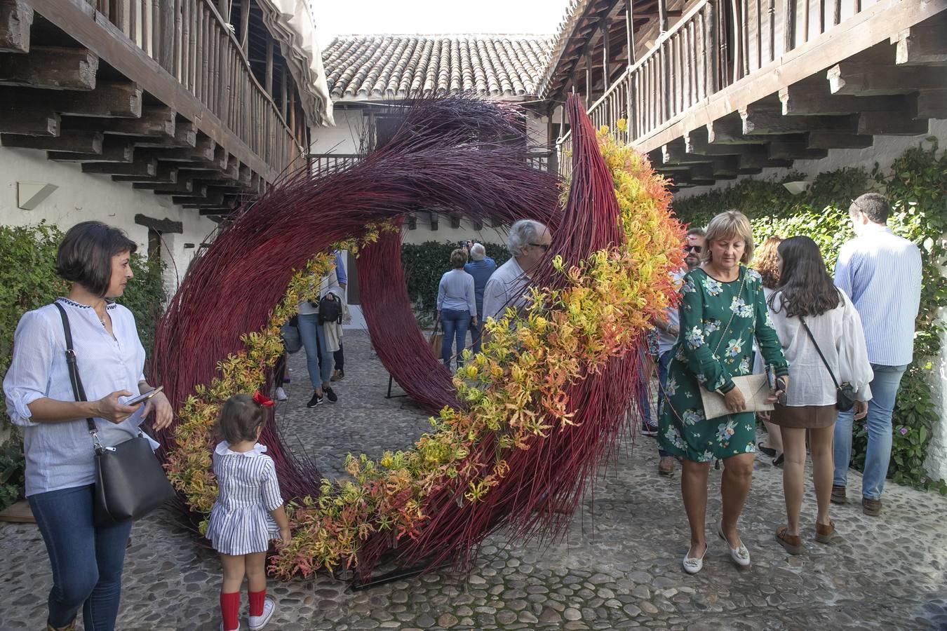 ¿Es un meteorito o un volcán? Los espejismos en el Festival Flora de Córdoba